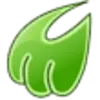 Midori